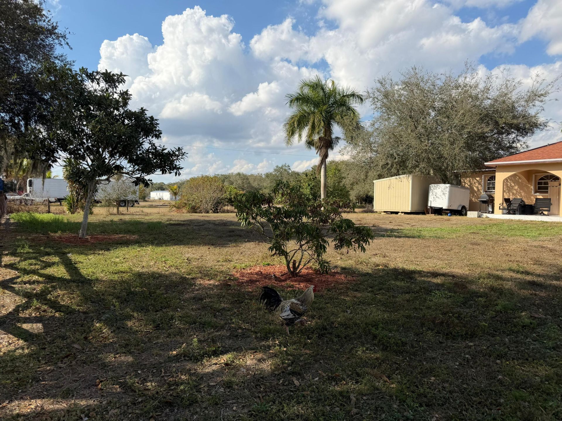 435 E A Road E, Labelle, FL 33935 Photo