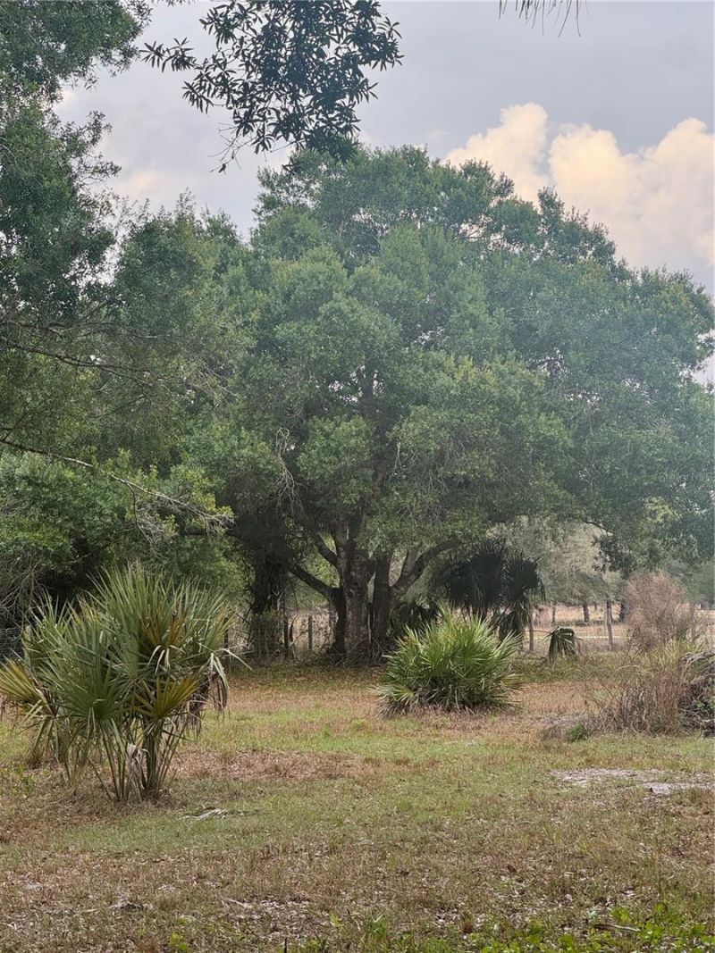 10963 SE Shelfer Avenue , Arcadia, FL 34266 Photo