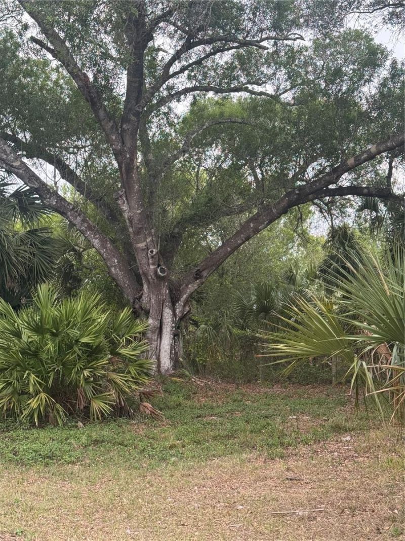 10963 SE Shelfer Avenue , Arcadia, FL 34266 Photo