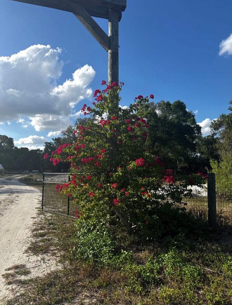 10963 SE Shelfer Avenue , Arcadia, FL 34266 Photo