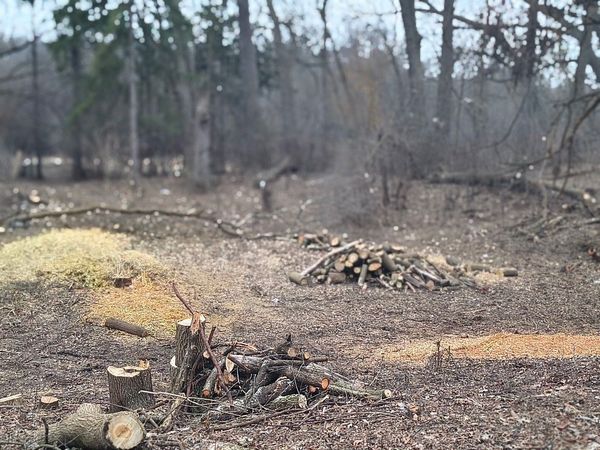 Lot 1 Asbury Avenue, Fox River Grove, IL 60021