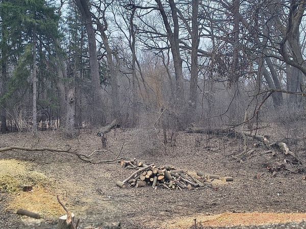 LOT 2 Asbury Avenue, Fox River Grove, IL 60021