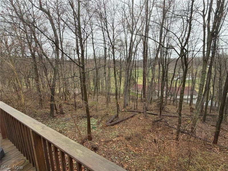 144 W 1st Street, Minerva, OH 44657 Photo 35