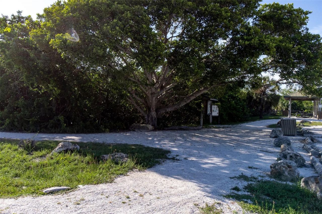 1517 43rd Ave Drive W, Palmetto, FL 34221 Photo