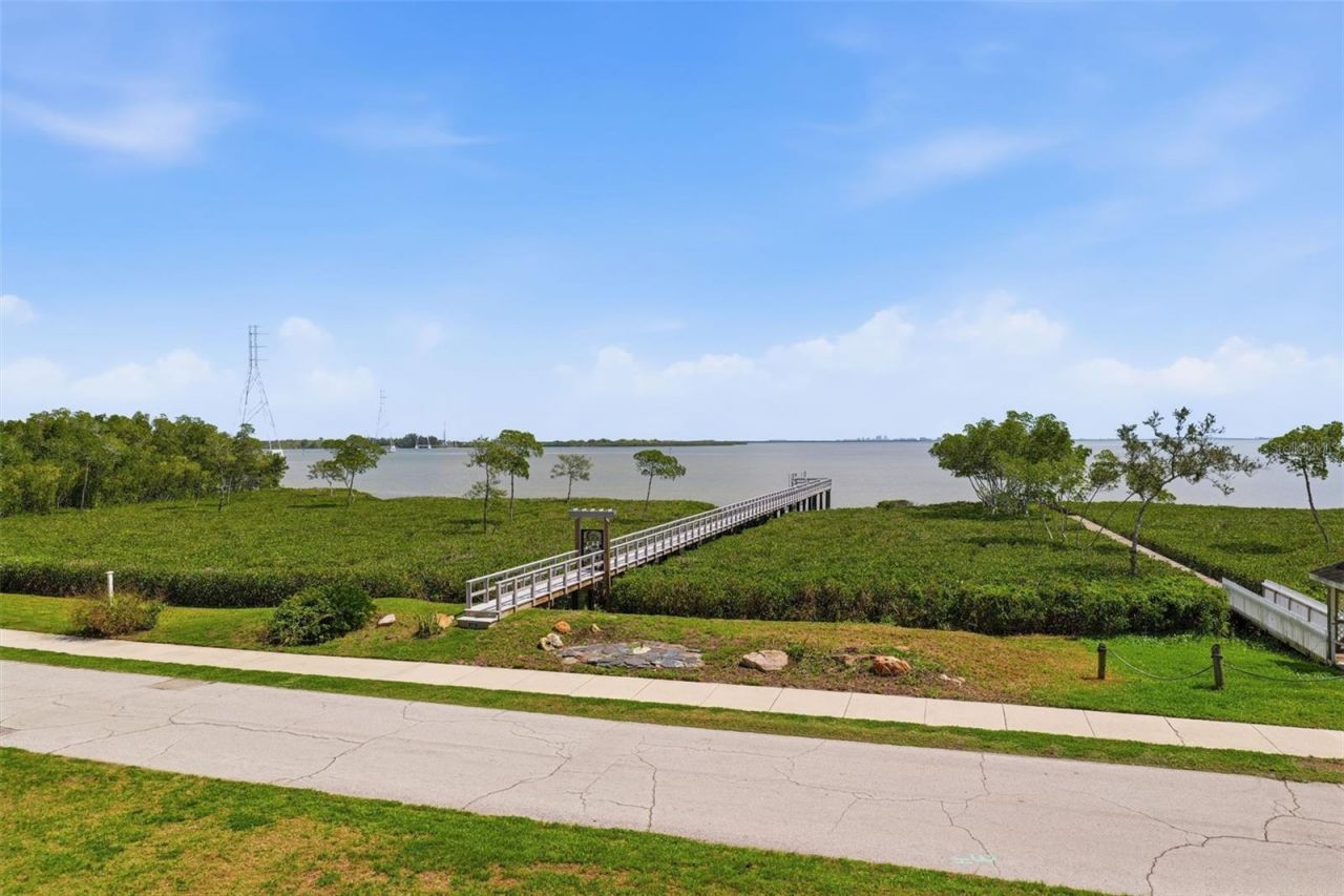 1405 N Bayshore Drive, Safety Harbor, FL 34695 Photo