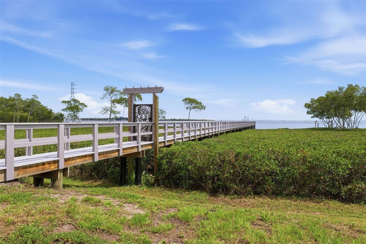 1405 N Bayshore Drive, Safety Harbor, FL 34695 Photo