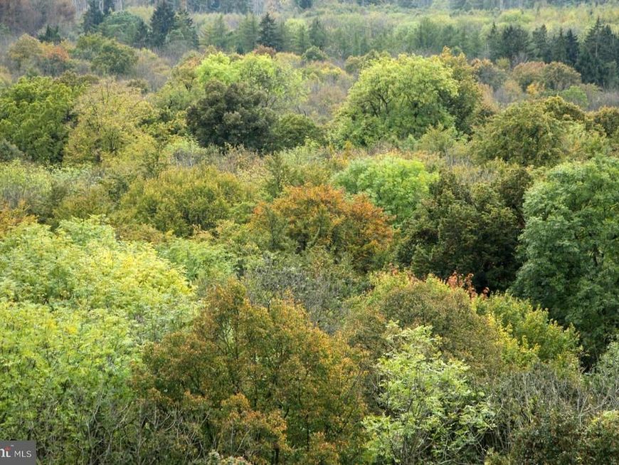 Brown Road, Smithsburg, MD 21783 Main Photo