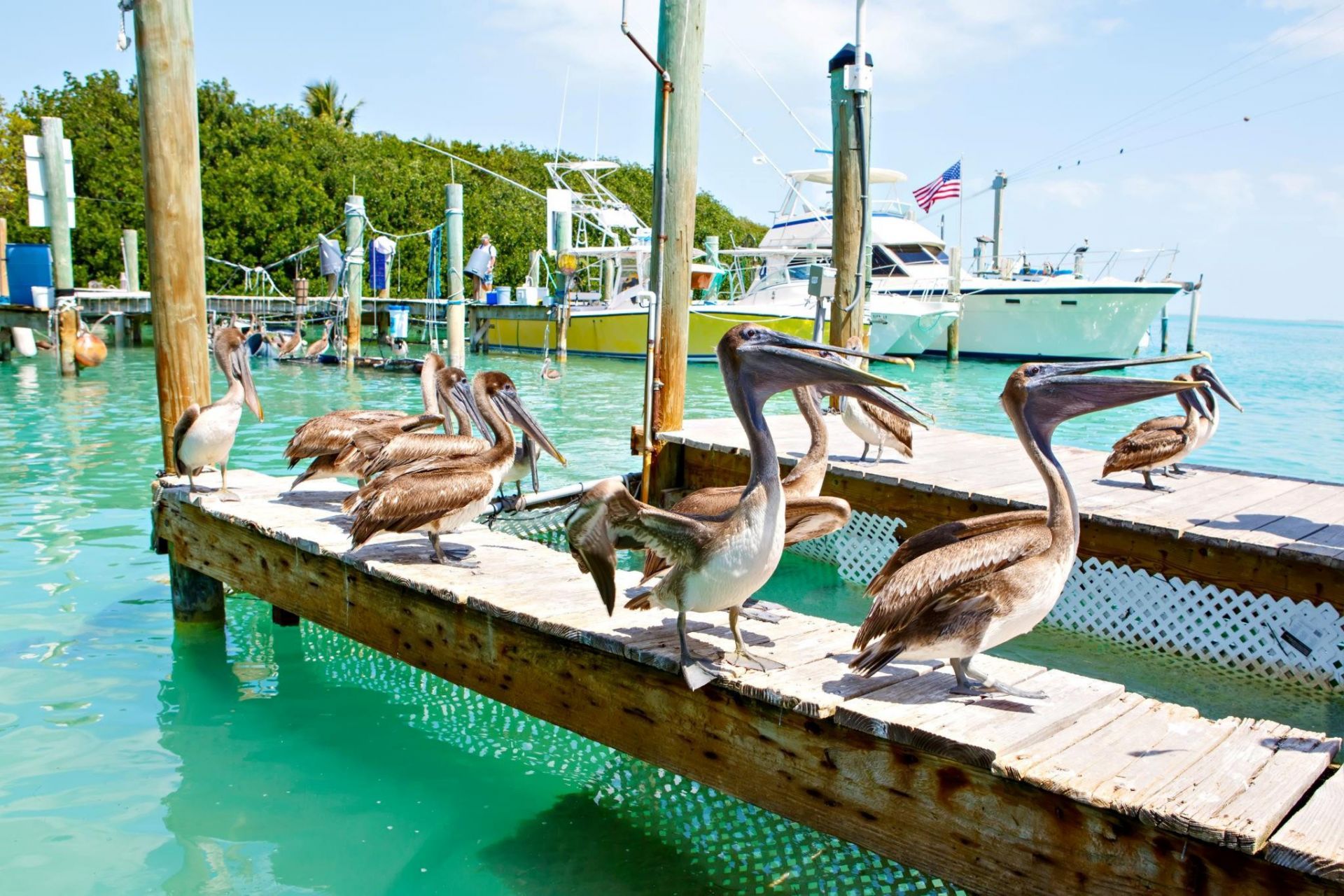 164 Ocean Bay Drive, Unit 3-c, Key Largo, FL 33037 Photo