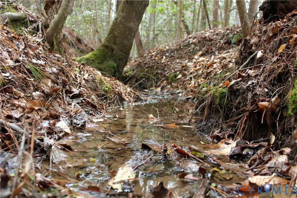 Tbd Greentown Drive, Lawrenceville, VA 23868 Main Photo