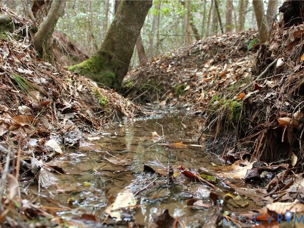 TBD Greentown Drive , Lawrenceville, VA 23868