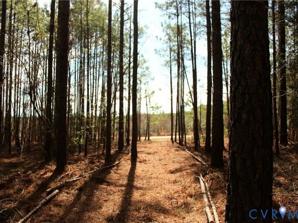 00 Greentown Drive , Lawrenceville, VA 23868