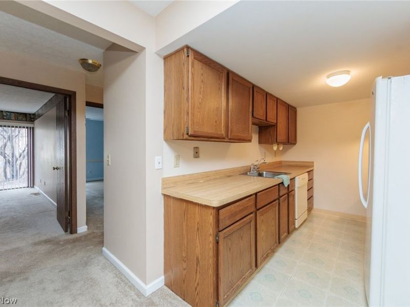 3265 Mayfield Road, Unit 29, Cleveland Heights, OH 44118 Photo 12