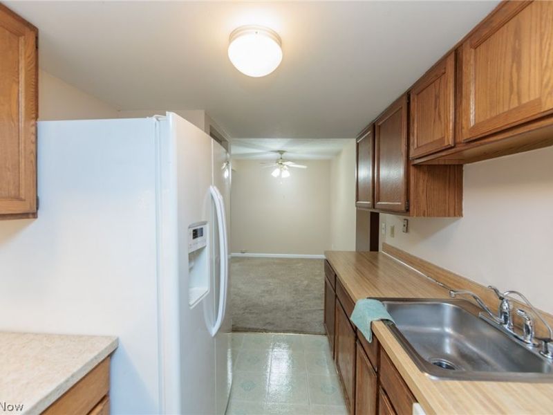 3265 Mayfield Road, Unit 29, Cleveland Heights, OH 44118 Photo 20