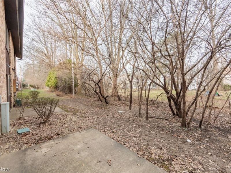 3265 Mayfield Road, Unit 29, Cleveland Heights, OH 44118 Photo 39
