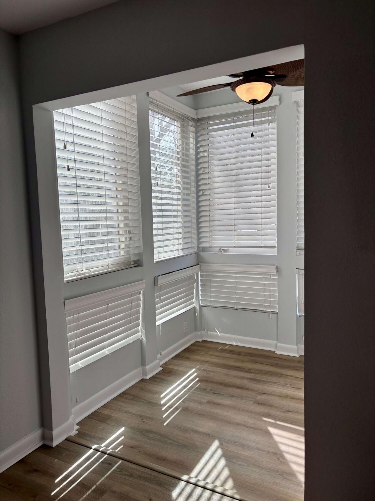 271 Alexandra Drive Photo 8