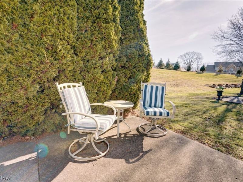 5685 Jason Oval, Medina, OH 44256 Photo 45