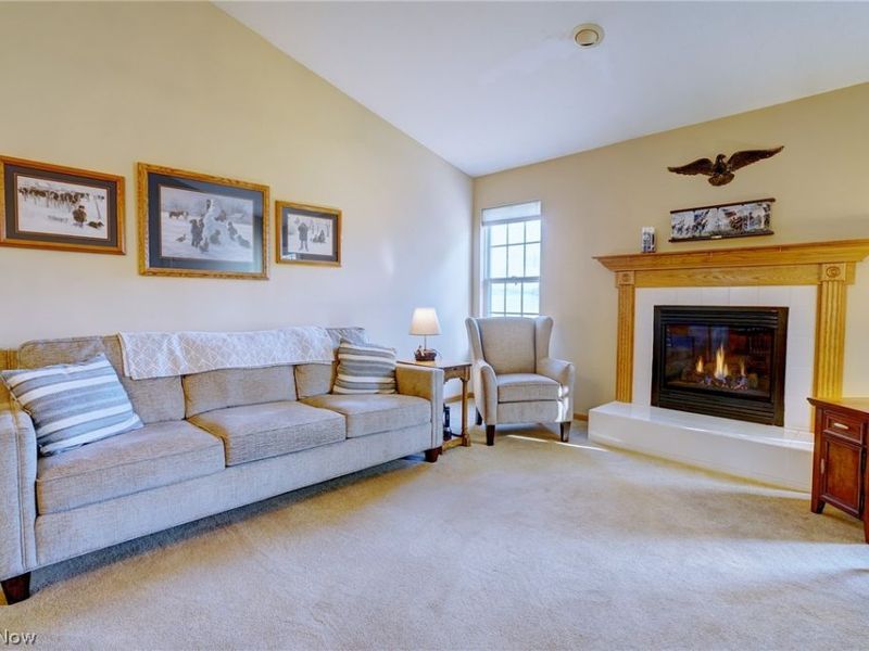 5685 Jason Oval, Medina, OH 44256 Photo 5