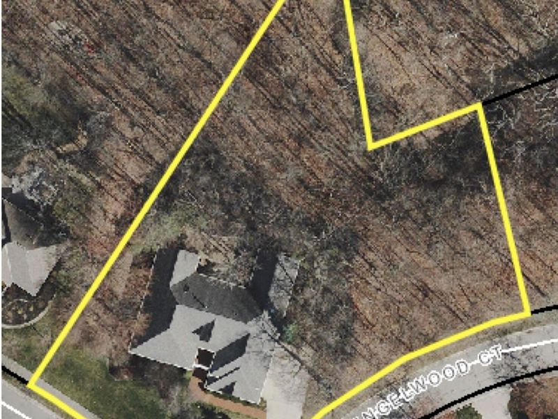 450 Shale Ridge Court, Powell, OH 43065 Photo 5