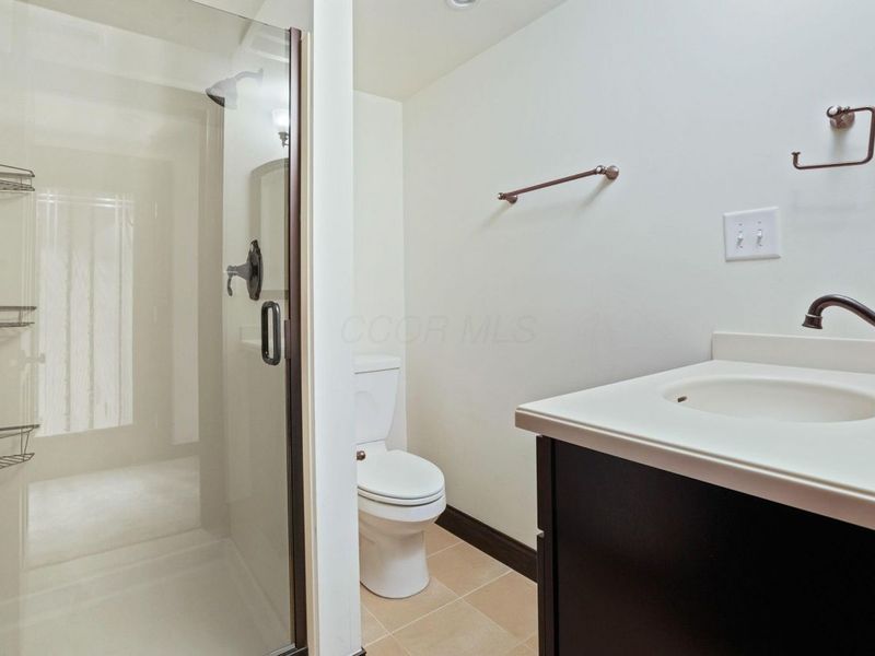 450 Shale Ridge Court, Powell, OH 43065 Photo 55