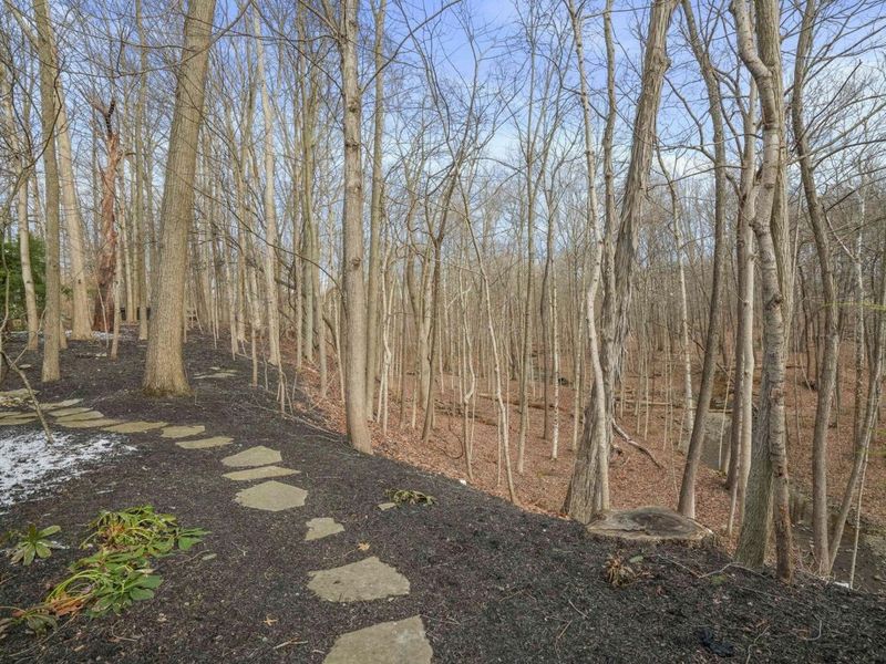 450 Shale Ridge Court, Powell, OH 43065 Photo 62