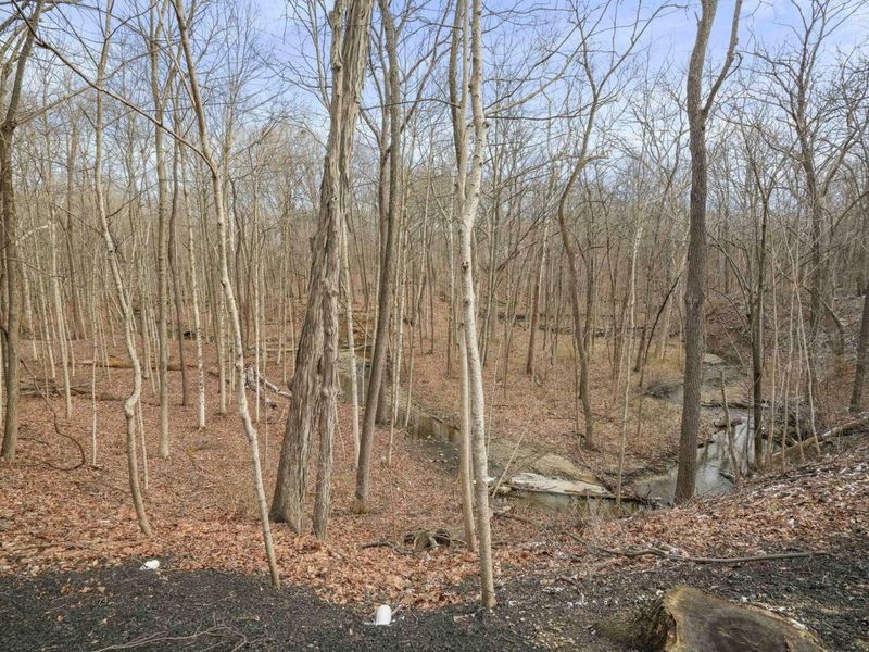 450 Shale Ridge Court, Powell, OH 43065 Photo 63