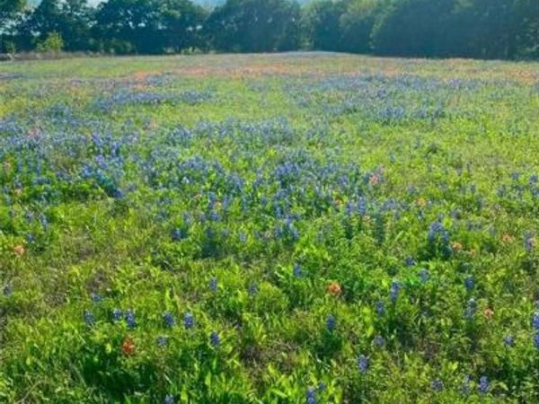 TBD Kirkland Hill Road , Axtell, TX 76624