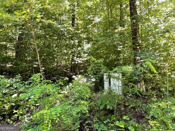 LOT 32 Fodder Creek Mill Drive, Hiawassee, GA 30546