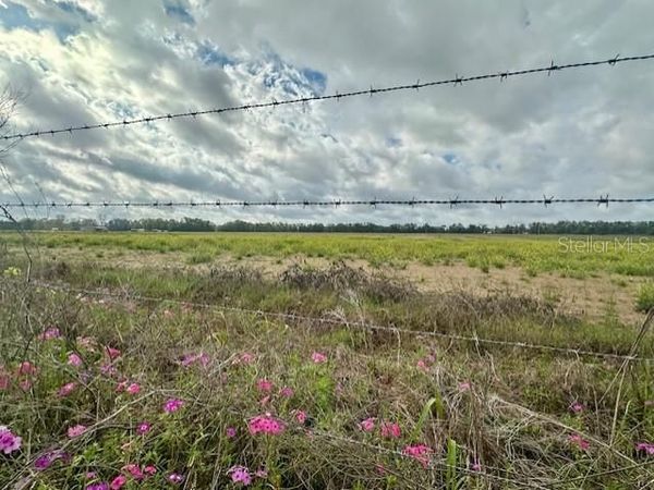 SW 80TH STREET , TRENTON, FL 32693