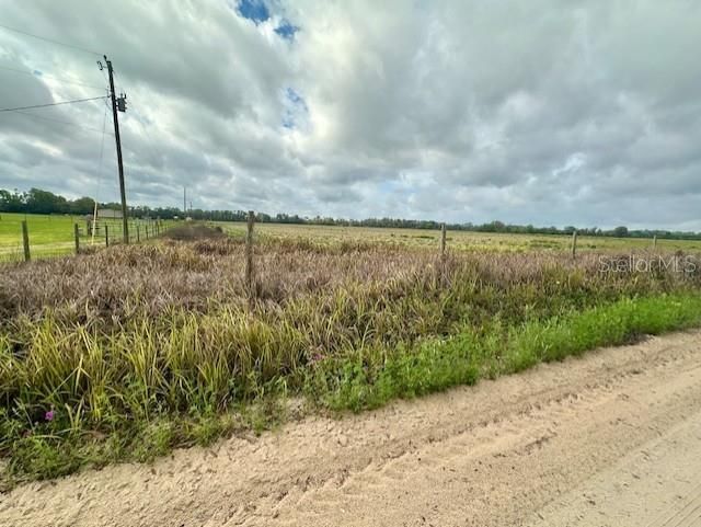 Sw 80th Street , Trenton, FL 32693 Photo