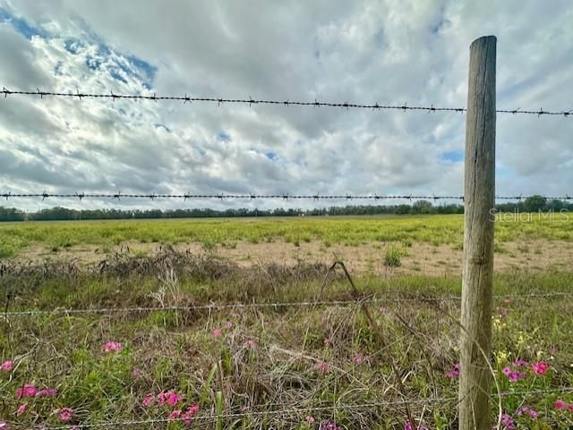 Sw 80th Street, Trenton, FL 32693 Photo