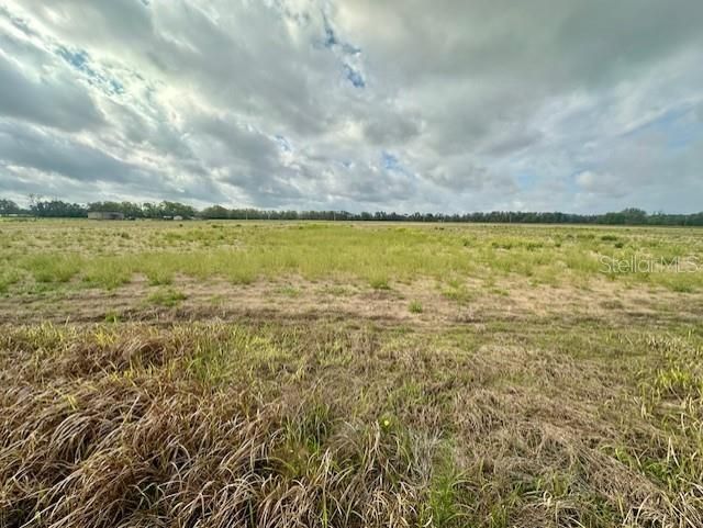 Sw 80th Street, Trenton, FL 32693 Photo