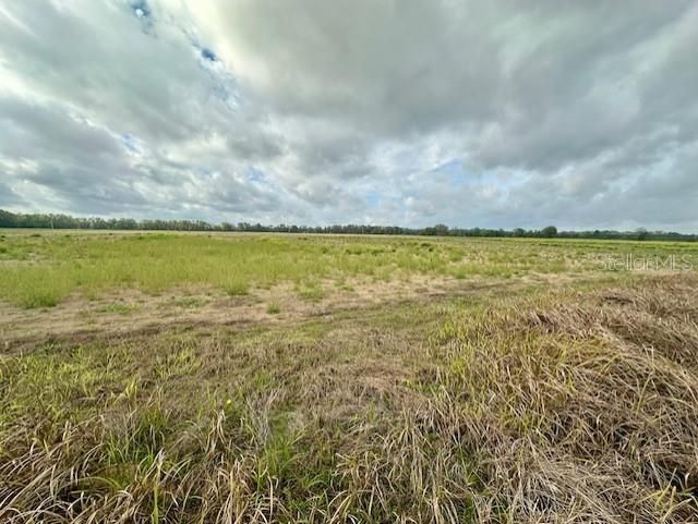 Sw 80th Street, Trenton, FL 32693 Photo