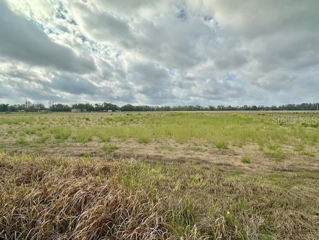 Sw 80th Street, Trenton, FL 32693 Photo