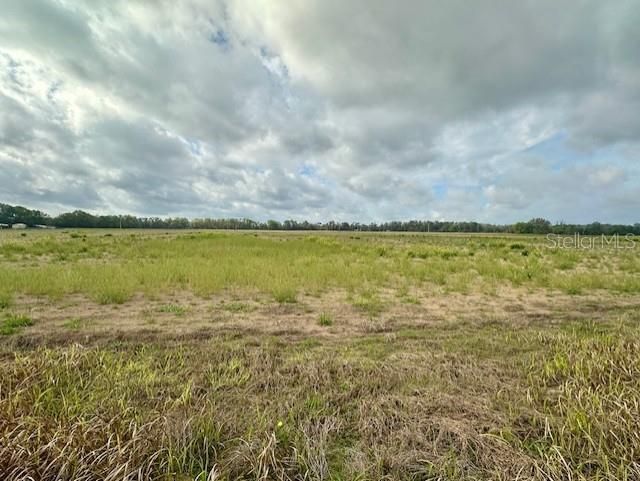 Sw 80th Street, Trenton, FL 32693 Photo