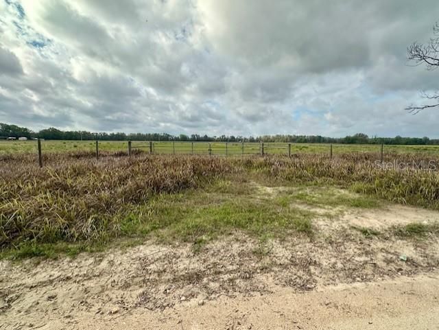 Sw 80th Street , Trenton, FL 32693 Photo