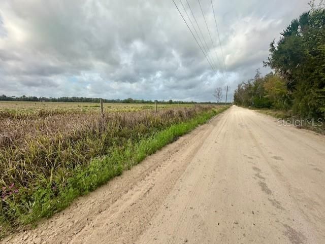 Sw 80th Street , Trenton, FL 32693 Photo