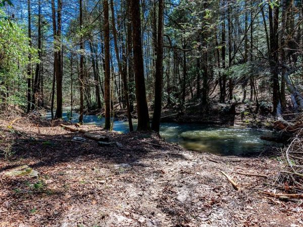 140 Luna Lane, Spring City, TN 37381