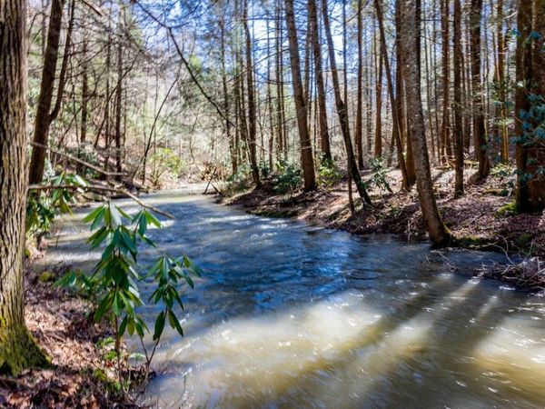 140 Luna Lane , Spring City, TN 37381