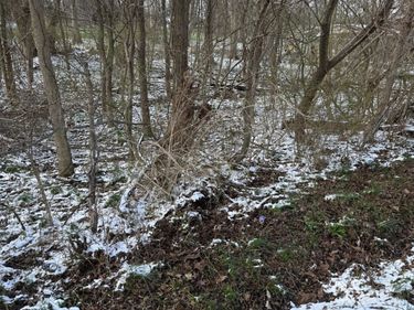 2687-2690 Pine Road NE, Thornville, OH 43076