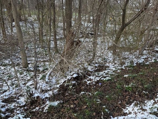 2687-2690 Pine Road NE, Thornville, OH 43076