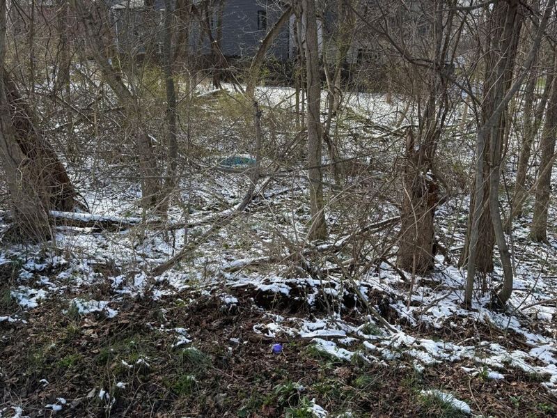 2687-2690 Pine Road NE, Thornville, OH 43076 Photo 2