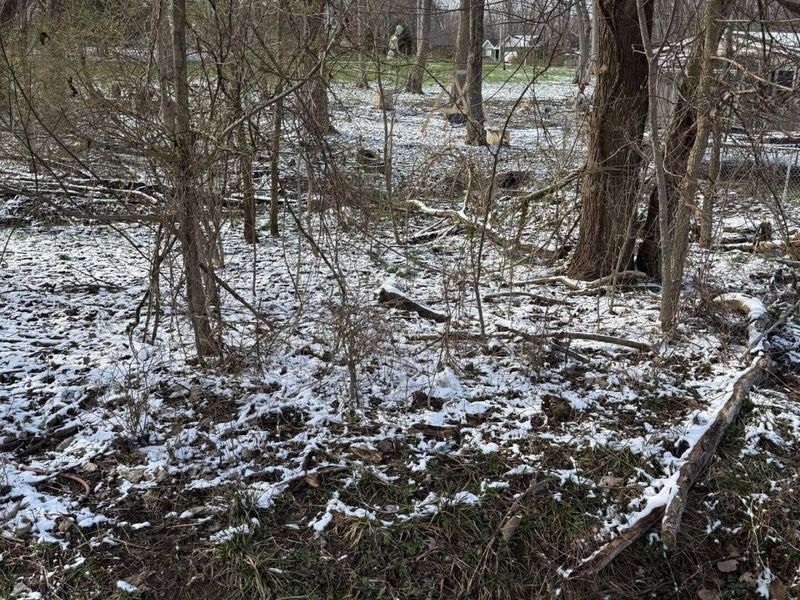 2687-2690 Pine Road NE, Thornville, OH 43076 Photo 3