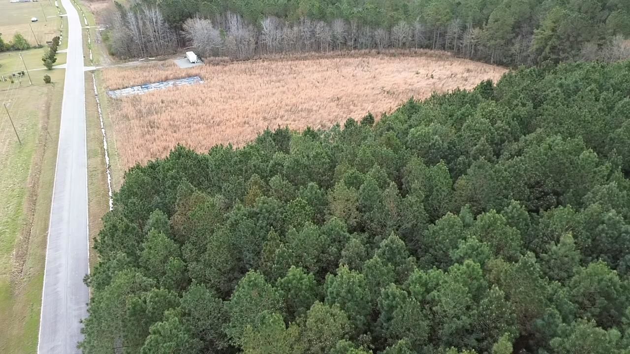 2.11 Acres Boggy Branch Rd.  Photo 5