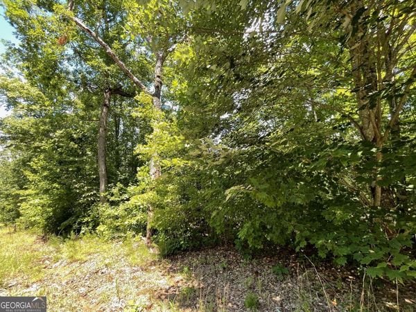 LOT 37 Fodder Creek Mill Drive, Hiawassee, GA 30546