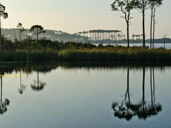 Lot 8 Wilderness Way, Santa Rosa Beach, FL 32459