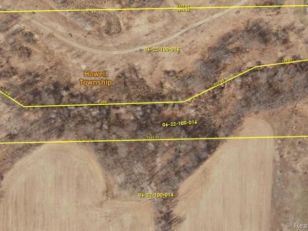 000 Tooley, Howell Twp, MI 48855