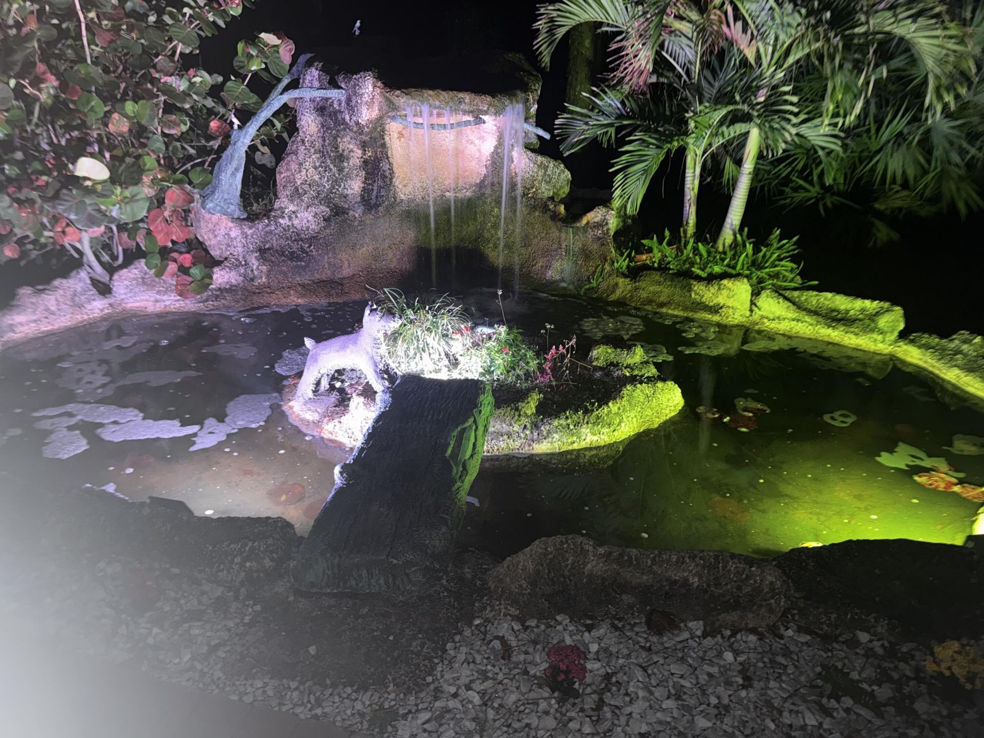 14042 88th Place N, The Acreage, FL 33470 Photo