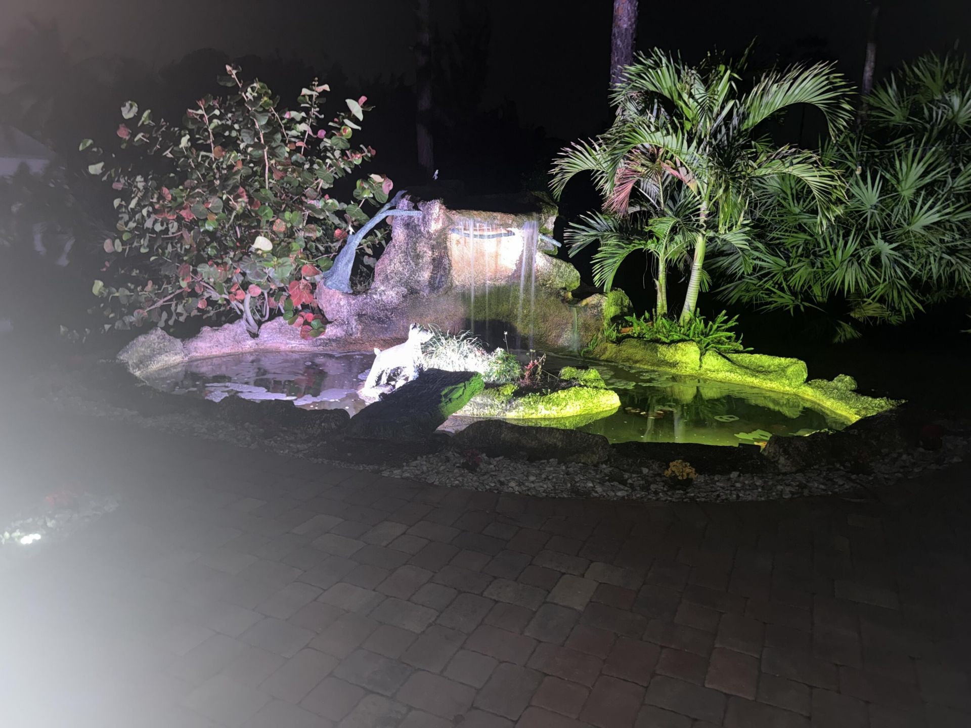 14042 88th Place N, The Acreage, FL 33470 Photo