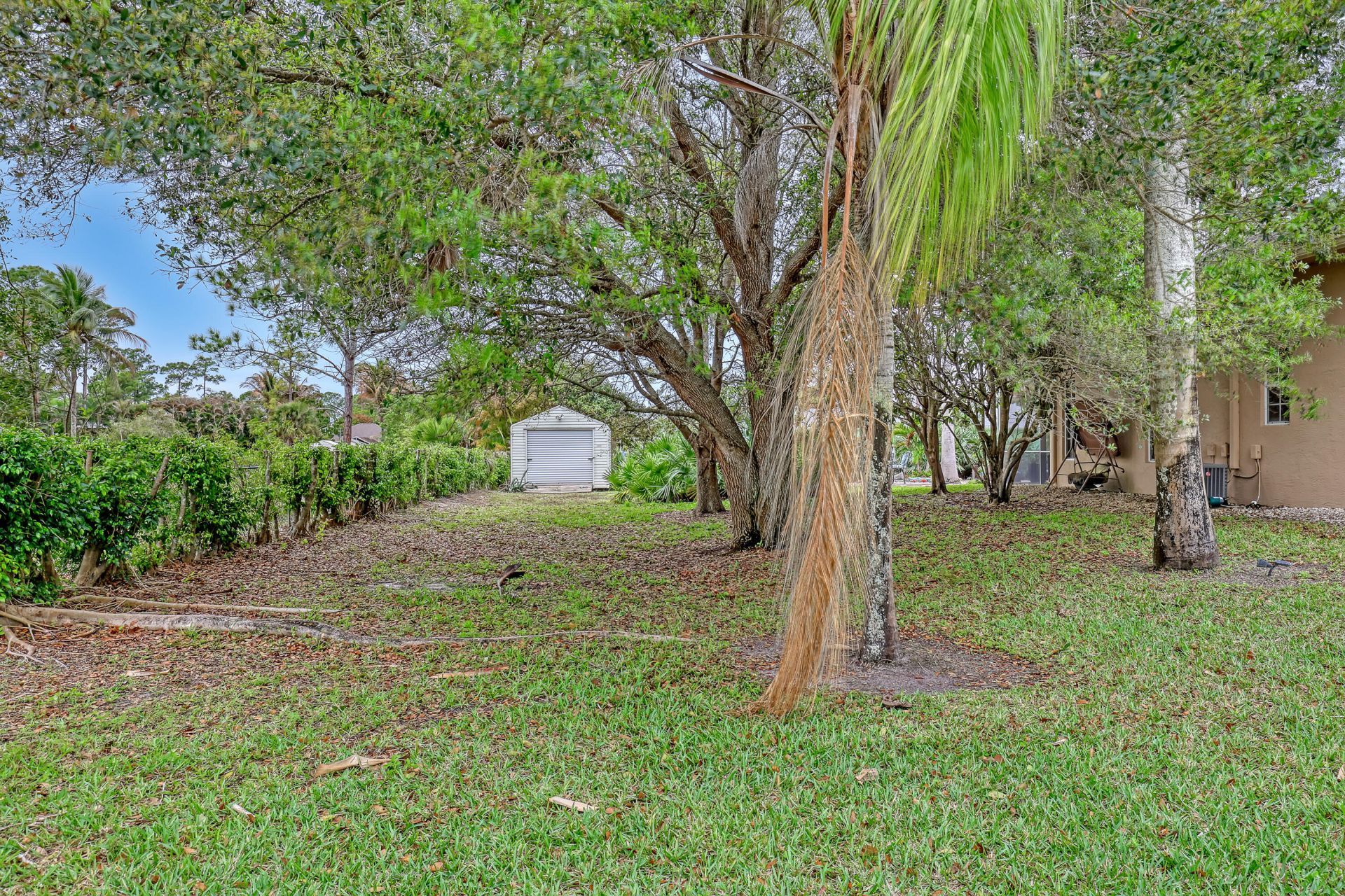 14042 88th Place N, The Acreage, FL 33470 Photo