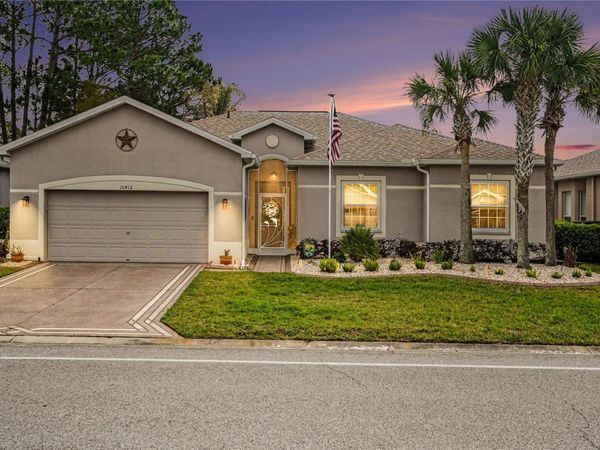 10412 OLD TAMPA BAY DRIVE , SAN ANTONIO, FL 33576